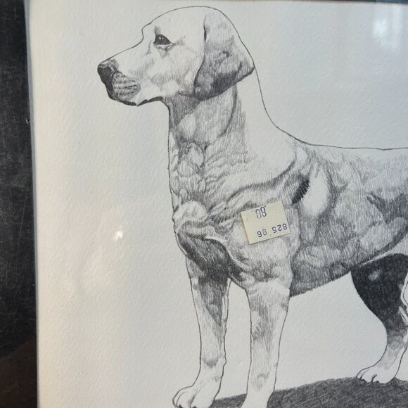 Vintage 1974 Labrador Sketch - Picture 2 of 8